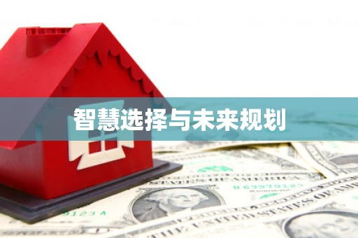 勉县智慧选择与未来规划