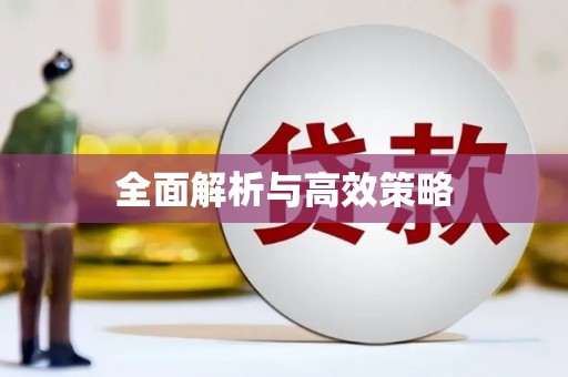 勉县全面解析与高效策略