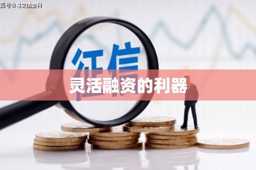 勉县灵活融资的利器