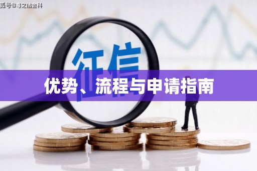 勉县优势、流程与申请指南