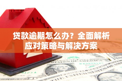勉县贷款逾期怎么办？全面解析应对策略与解决方案
