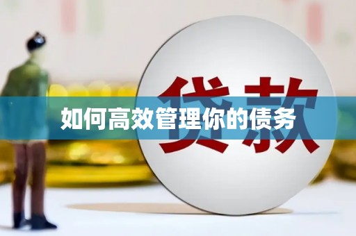 勉县如何高效管理你的债务