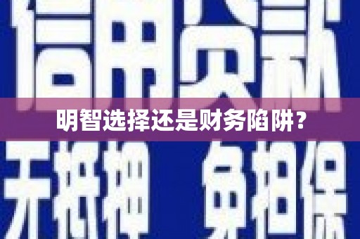 勉县明智选择还是财务陷阱？