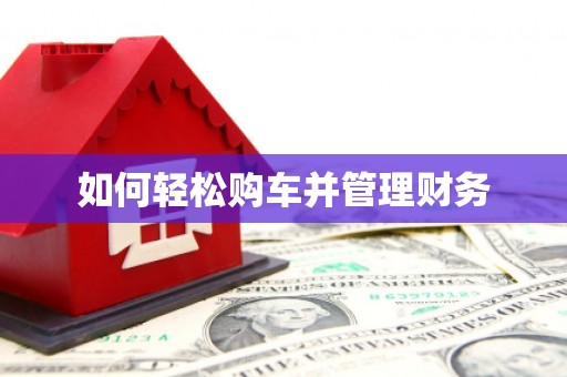 勉县如何轻松购车并管理财务