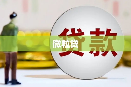 勉县微粒贷