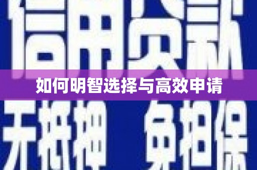勉县如何明智选择与高效申请