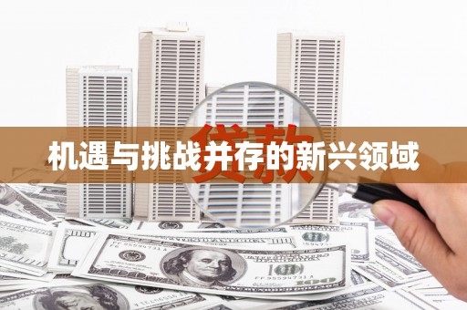 勉县机遇与挑战并存的新兴领域