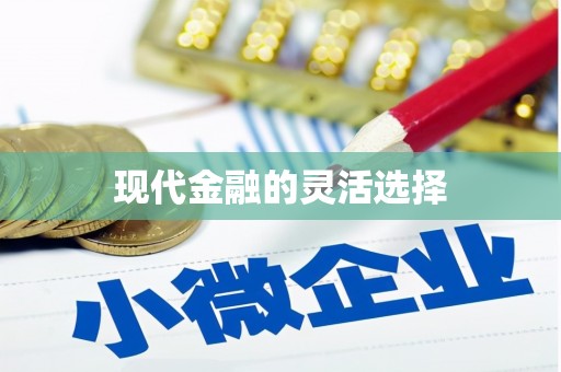 勉县现代金融的灵活选择