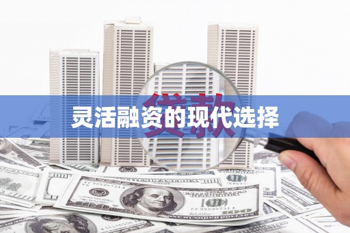 勉县灵活融资的现代选择