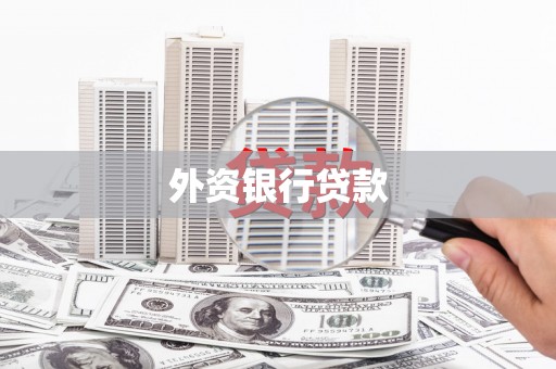 勉县外资银行贷款