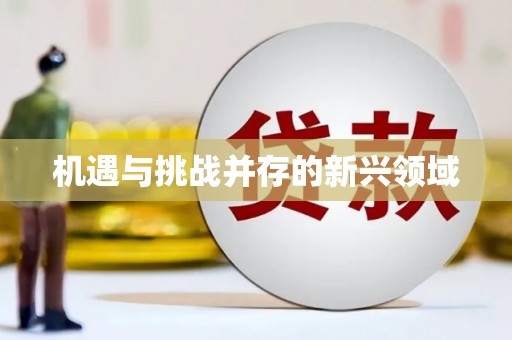 勉县机遇与挑战并存的新兴领域