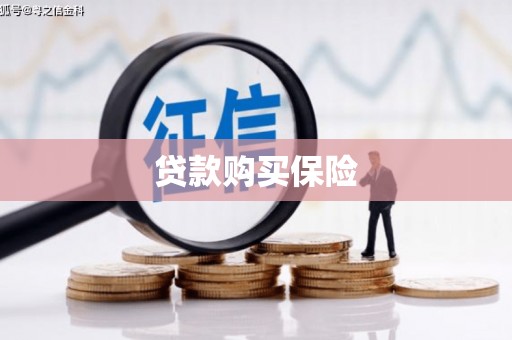勉县贷款购买保险