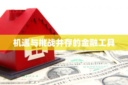 勉县机遇与挑战并存的金融工具
