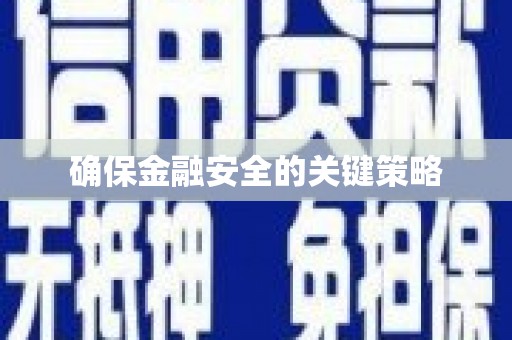 勉县确保金融安全的关键策略