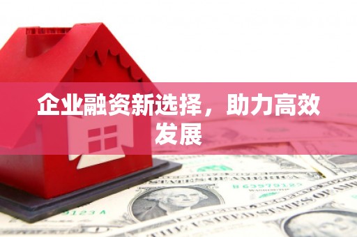 勉县企业融资新选择，助力高效发展