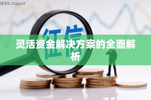 勉县灵活资金解决方案的全面解析
