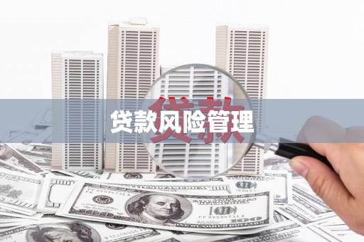 勉县贷款风险管理