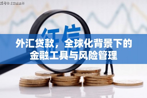 勉县外汇贷款，全球化背景下的金融工具与风险管理