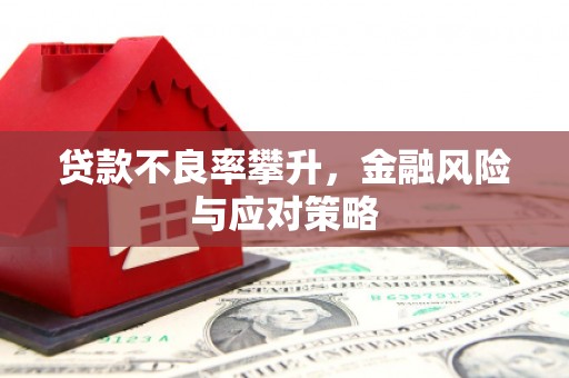 勉县贷款不良率攀升，金融风险与应对策略
